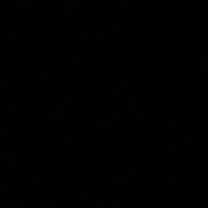 Meet your Posher, Tamar